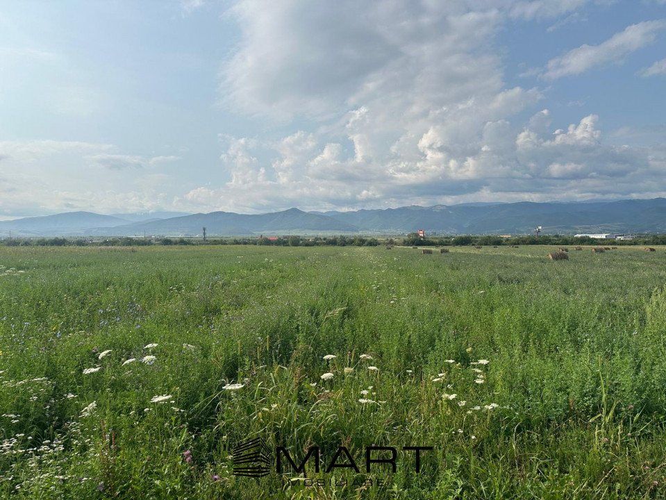 Teren extravilan 2700mp acces auto, Cristian 