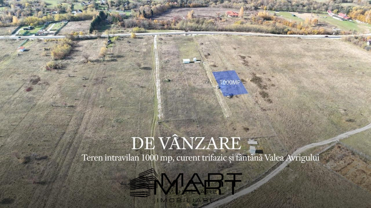 Teren 1000 mp, curent trifazic si fantana  Valea Avrigului