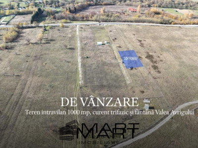 Teren 1000 mp, curent trifazic si fantana  Valea Avrigului