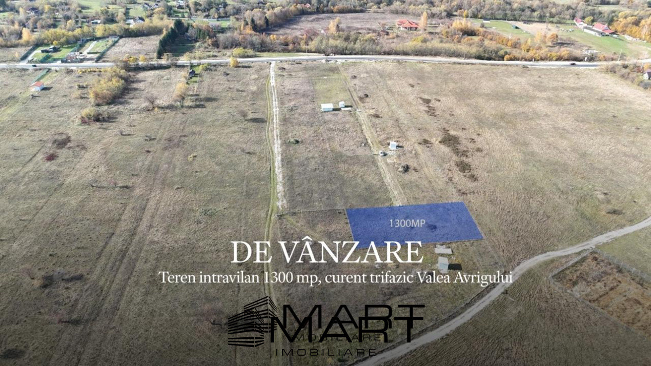 Teren 1300mp, curent trifazic Valea Avrigului