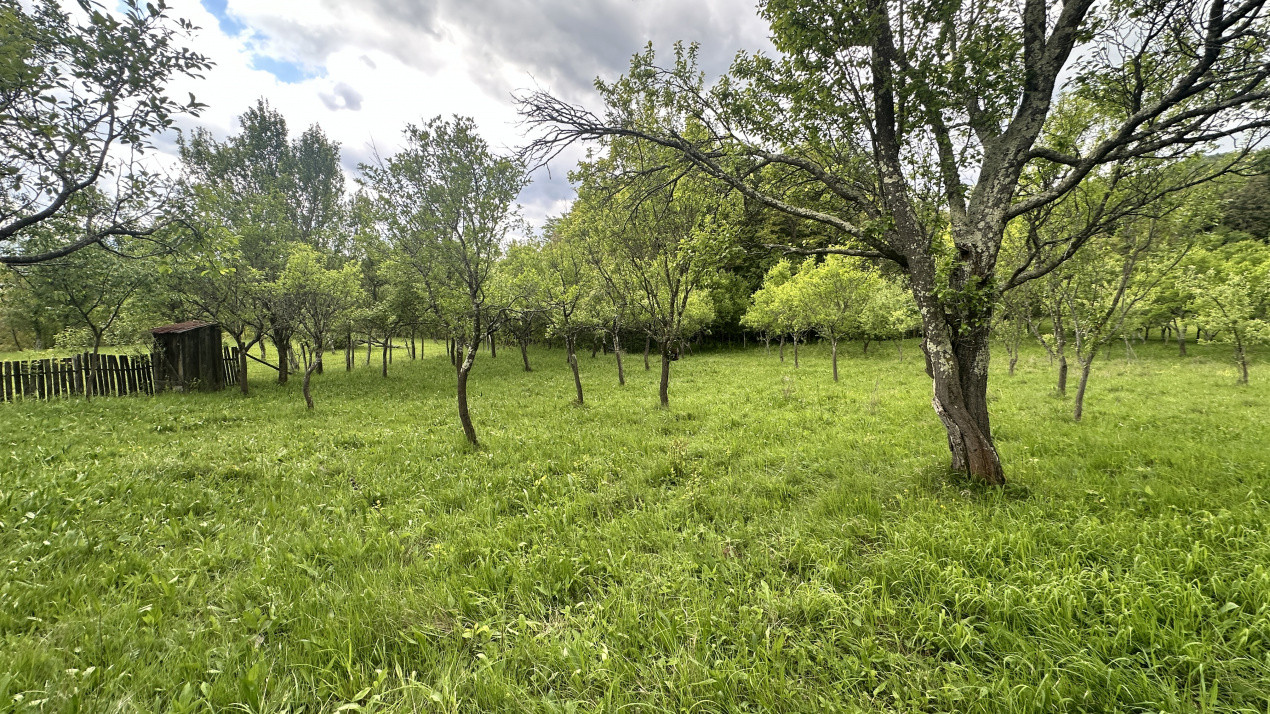 Teren intravilan 3102mp zona Racovita-Blanoiu