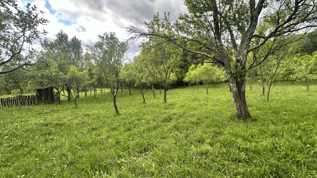 Teren intravilan 3102mp zona Racovita-Blanoiu
