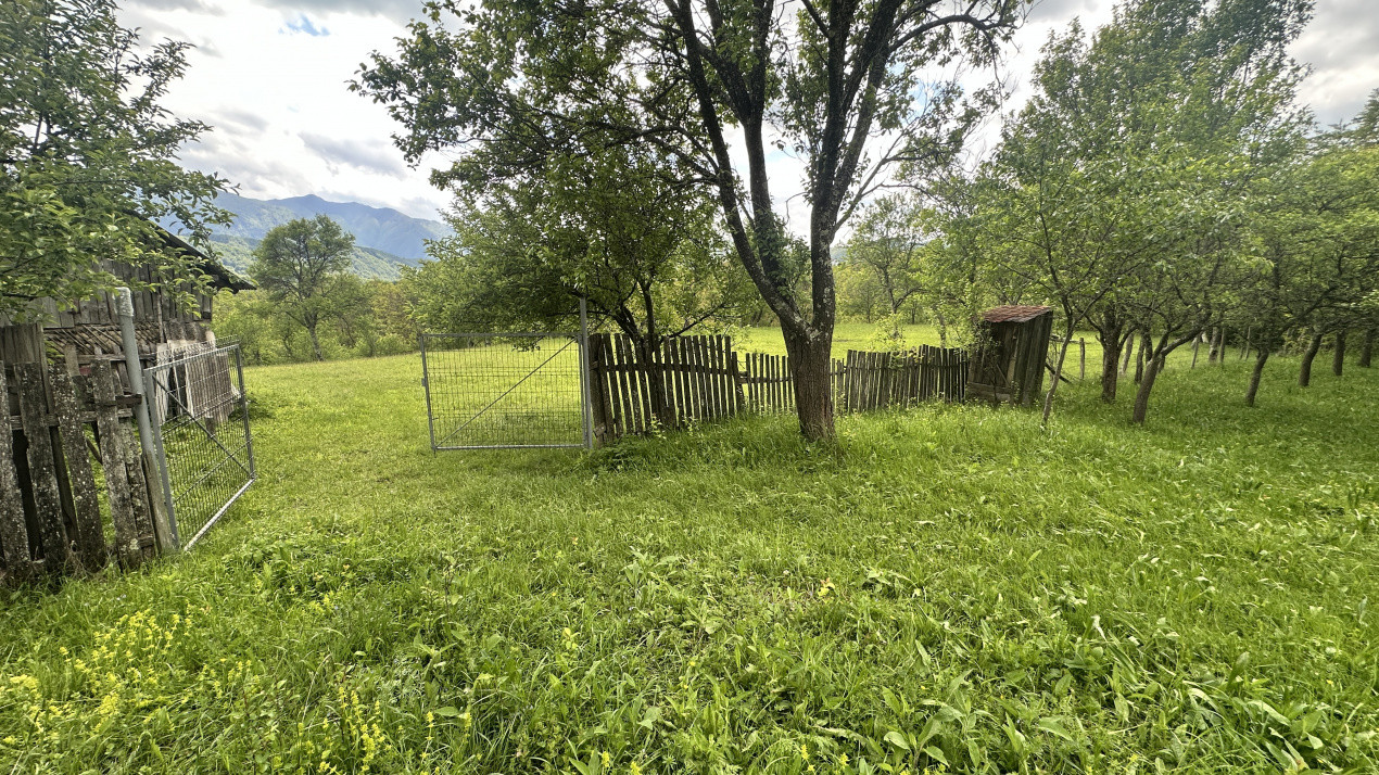 Teren intravilan 3102mp zona Racovita-Blanoiu