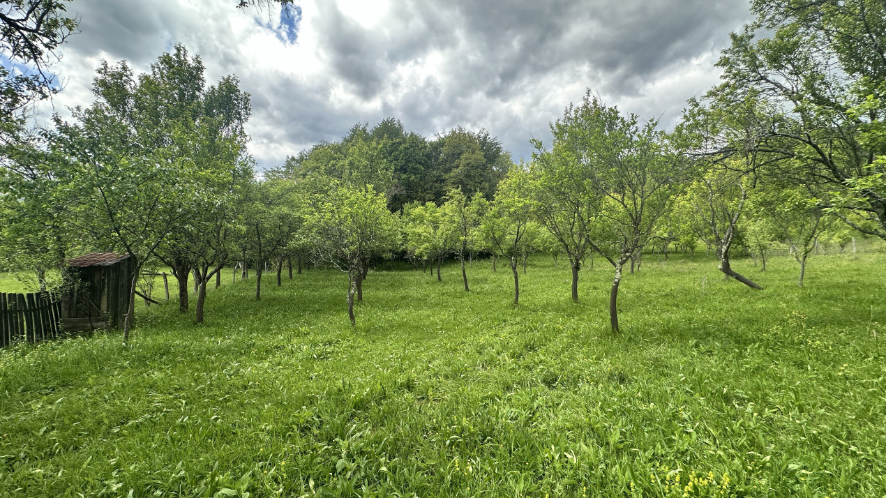 Teren intravilan 3102mp zona Racovita-Blanoiu