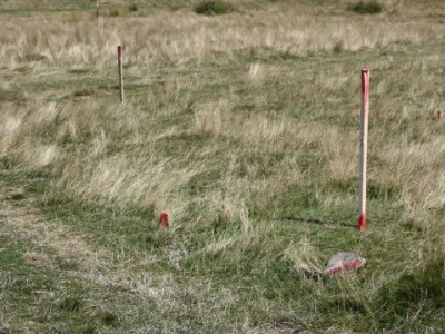 Teren intravilan zona Paltinis