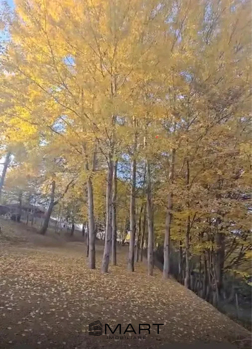 Teren intravilan Cisnadioara 