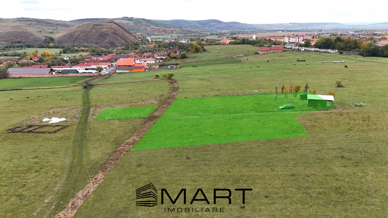 Teren  extravilan 2500 mp in Orlat