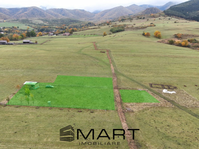 Teren  extravilan 2500 mp in Orlat