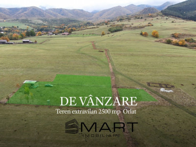 Teren  extravilan 2500 mp in Orlat
