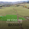 Teren  extravilan 2500 mp in Orlat