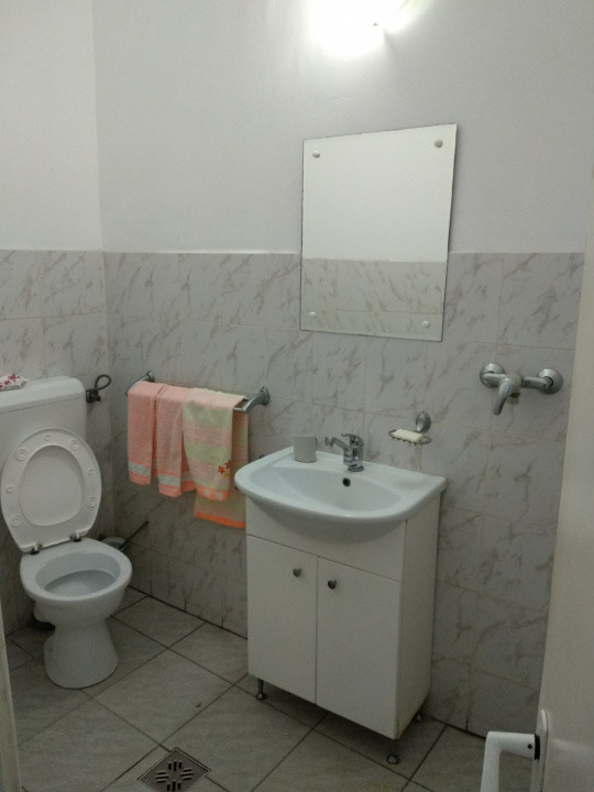 Spatiu Comercial 100 mp Triaj