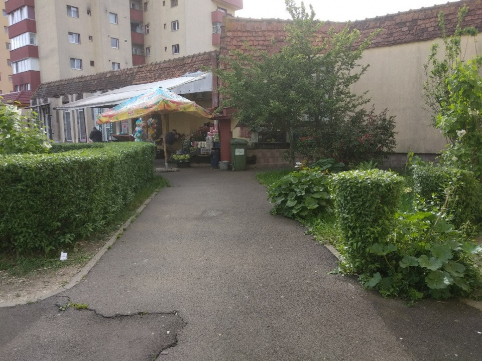 Spatiu Comercial 100 mp Triaj