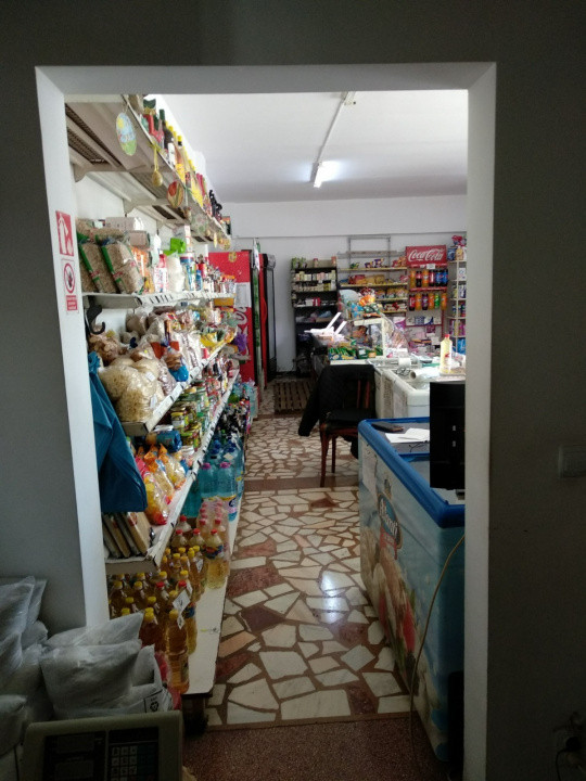 Spatiu Comercial 100 mp Triaj