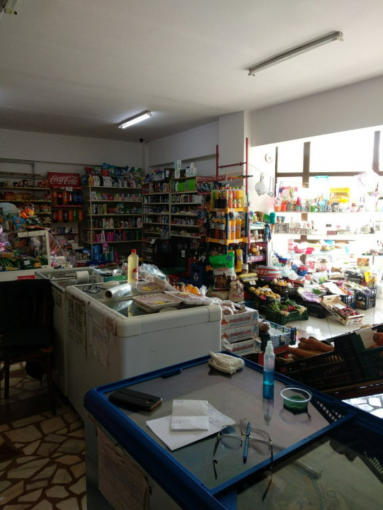 Spatiu Comercial 100 mp Triaj