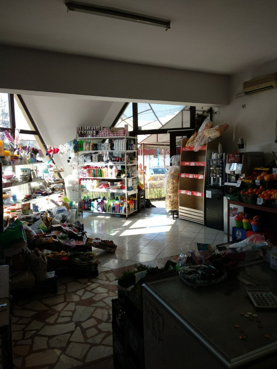 Spatiu Comercial 100 mp Triaj