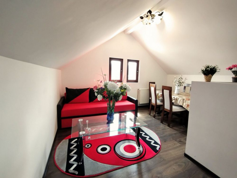 Apartament 3 Camere Busteni