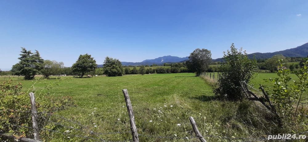 Teren 9350 mp Bran Livada, Extravilan