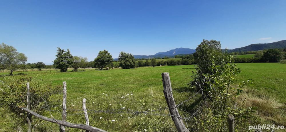 Teren 9350 mp Bran Livada, Extravilan