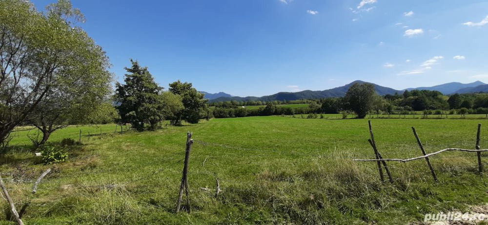 Teren 9350 mp Bran Livada, Extravilan