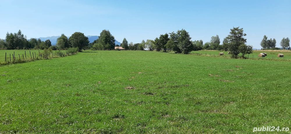 Teren 9350 mp Bran Livada, Extravilan
