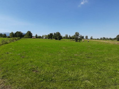 Teren 9350 mp Bran Livada, Extravilan