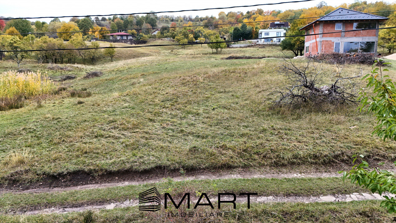 Teren intravilan 1250mp  cu PUZ in Cisnădioara