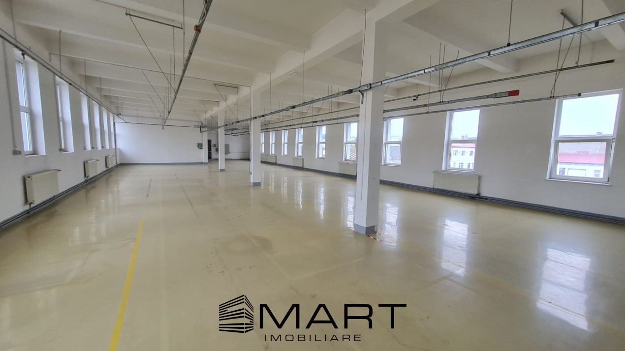 Spații de închiriat – Depozitare | Producție | Birouri Cisnadie