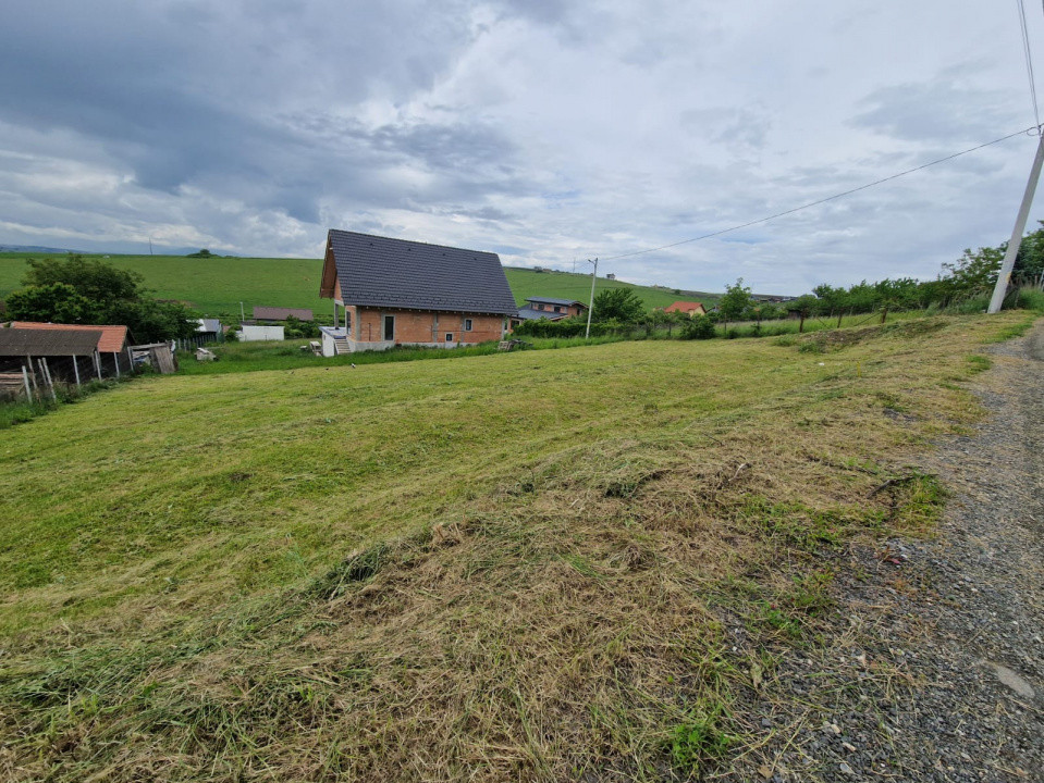 Teren intravila Sura Mare 1000mp 