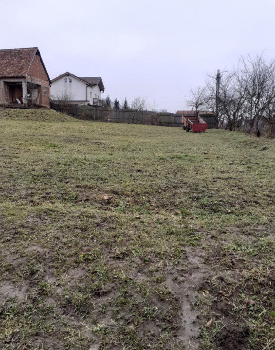 Teren de inchiriat in Sura Mare 