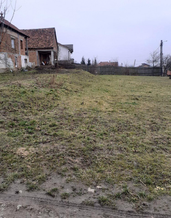 Teren de inchiriat in Sura Mare 
