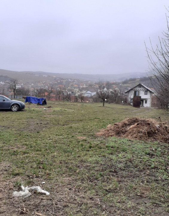 Teren de inchiriat in Sura Mare 