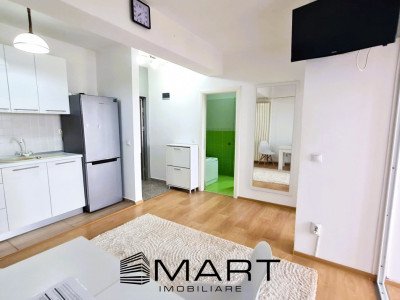 Apartament 2 camere Doamna Stanca