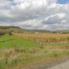 Teren intravilan CC cu CU 7000mp in Cristian la DN