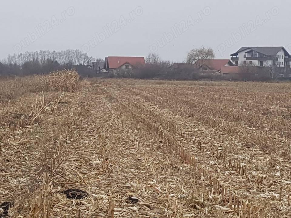 Teren Intravilan 2932 mp Stupini