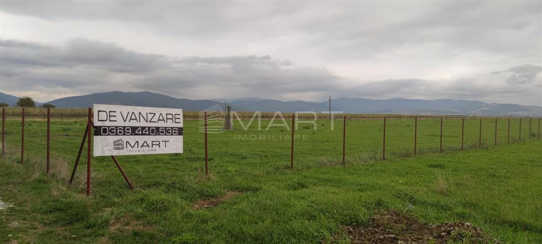 Teren  intravilan cu PUZ 30.000 mp Prejmer