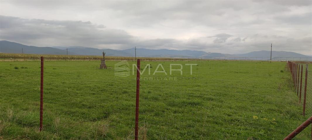 Teren  intravilan cu PUZ 30.000 mp Prejmer