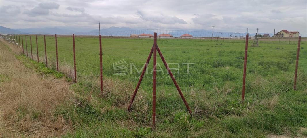 Teren  intravilan cu PUZ 30.000 mp Prejmer