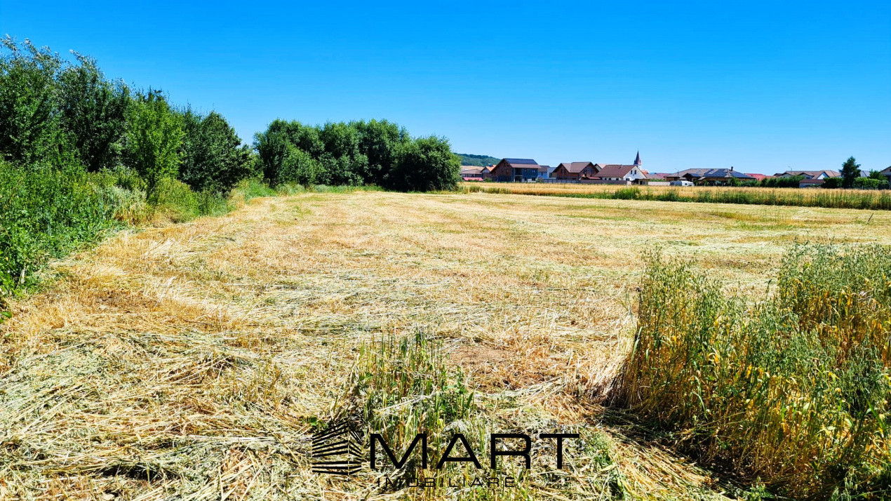 Teren de 4000 mp intravilan in Cristian