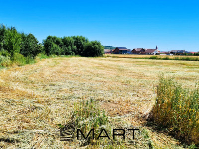 Teren de 4000 mp intravilan in Cristian