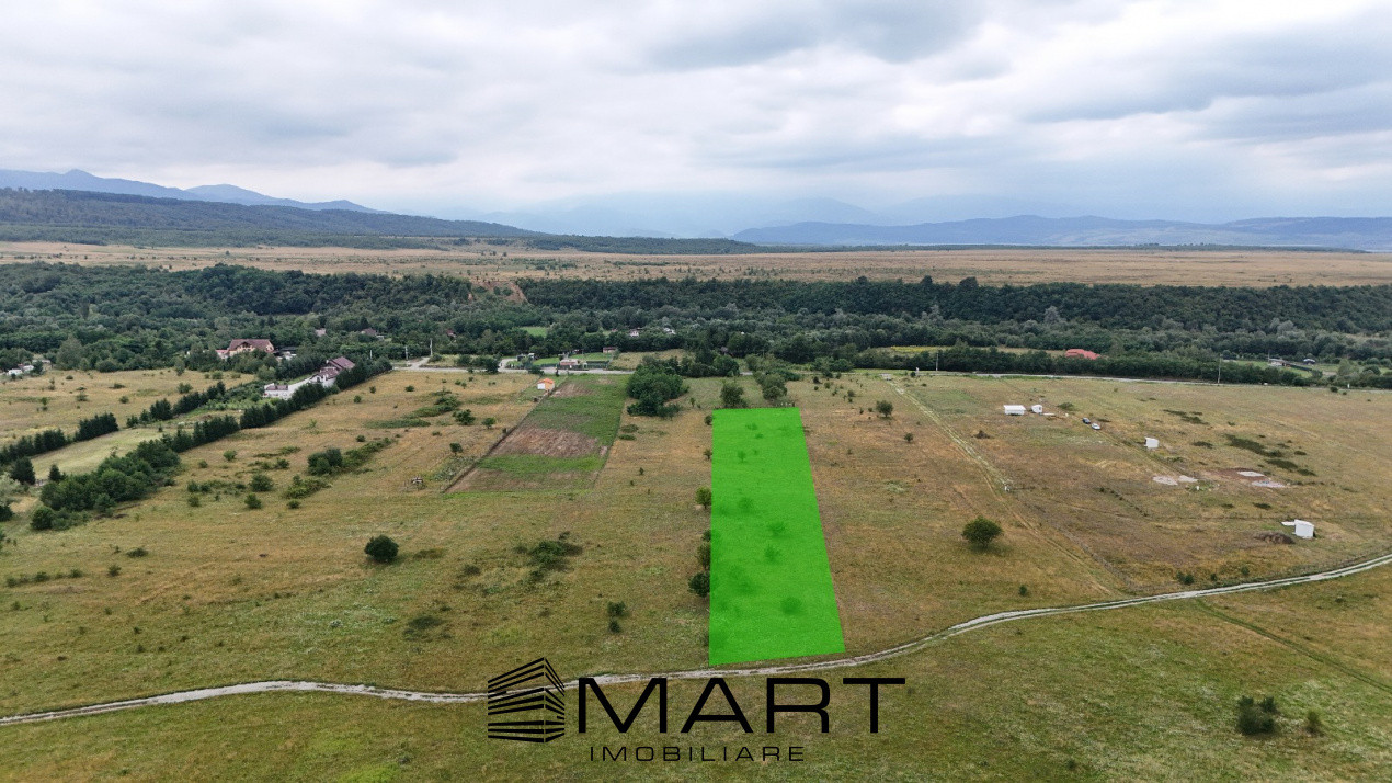 Teren intravilan 5000mp Valea Avrigului