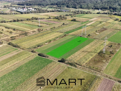Teren extravilan de vânzare –5000 mp, Șelimbăr (Mohu)