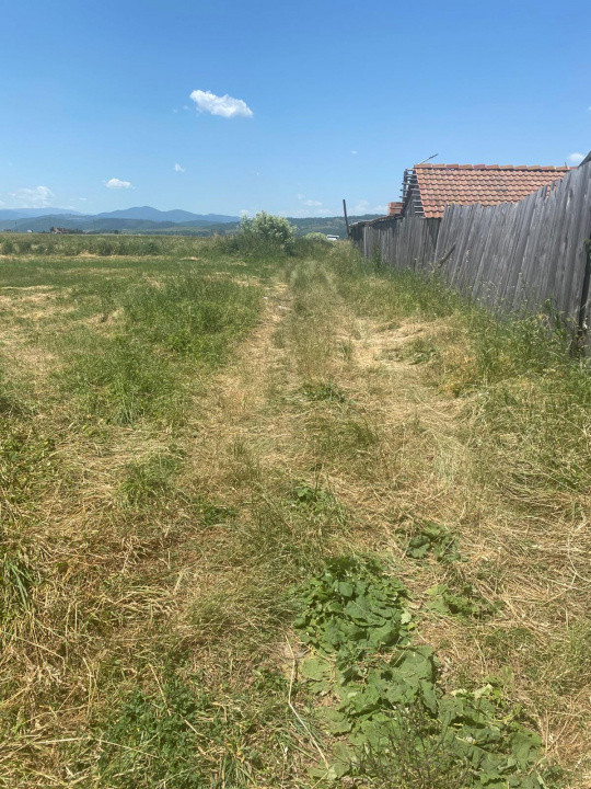 Teren Rasnov 1000 mp 