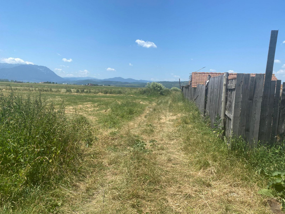 Teren Rasnov 1000 mp 