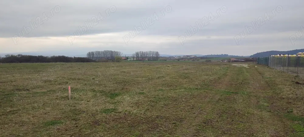 Teren 450 mp Sanpetru 
