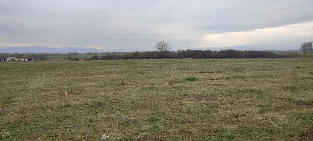 Teren 450 mp Sanpetru 