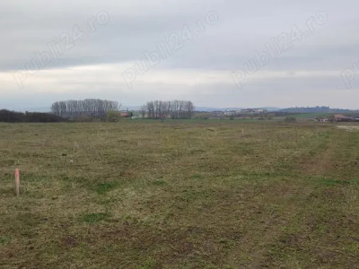 Teren 450 mp Sanpetru 