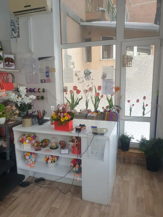 Spatiu Comercial 38 mp Faget