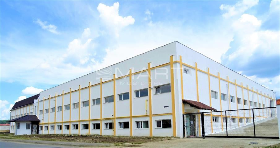 Hala industriala acces TIR, 1000mp Cisnadie
