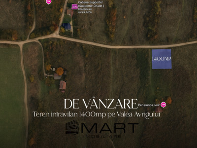 Teren intravilan 1400mp pe Valea Avrigului