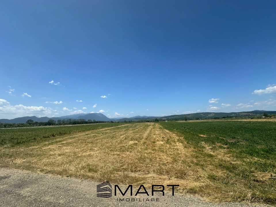 Teren 5000 mp Glajerie, zona Rasnov